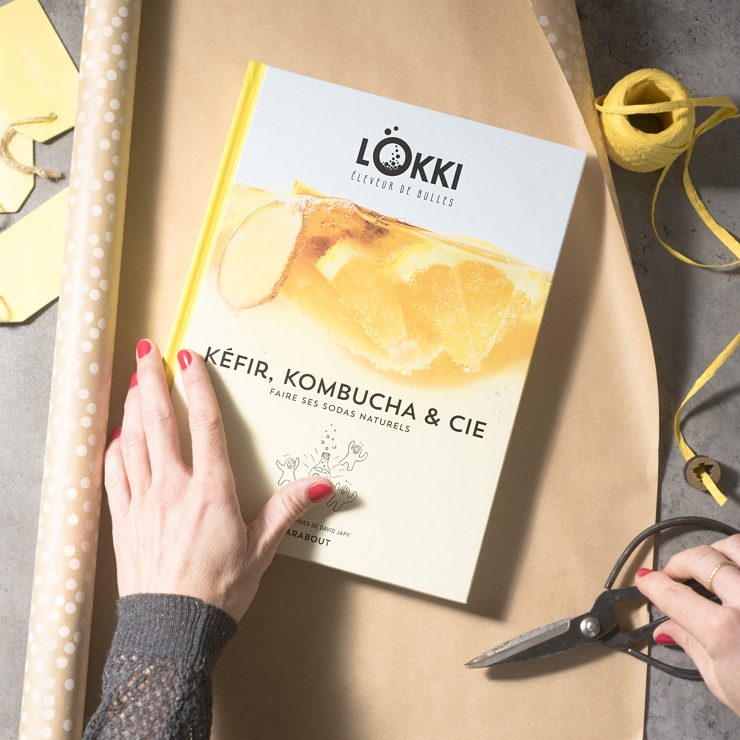 Livre Lökki Kombucha Kéfir, Kombucha & Cie recettes