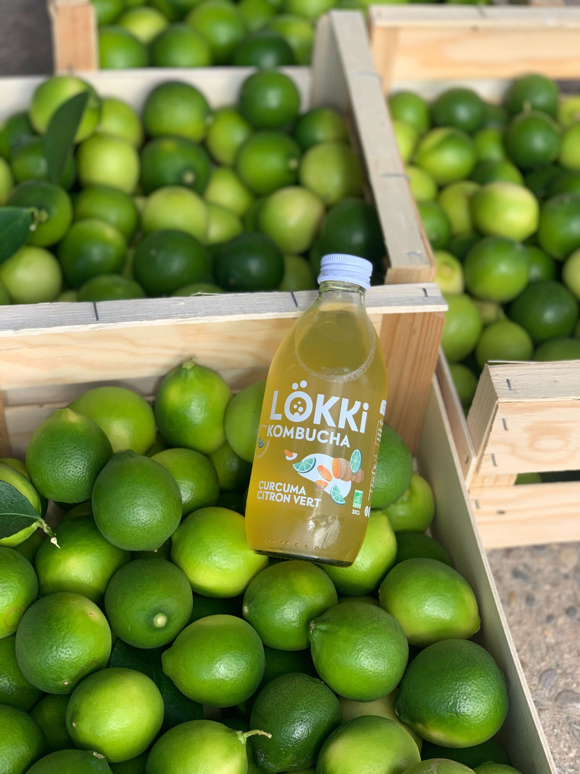 Matière première fraîche de notre kombucha Curcuma Citron vert Lökki