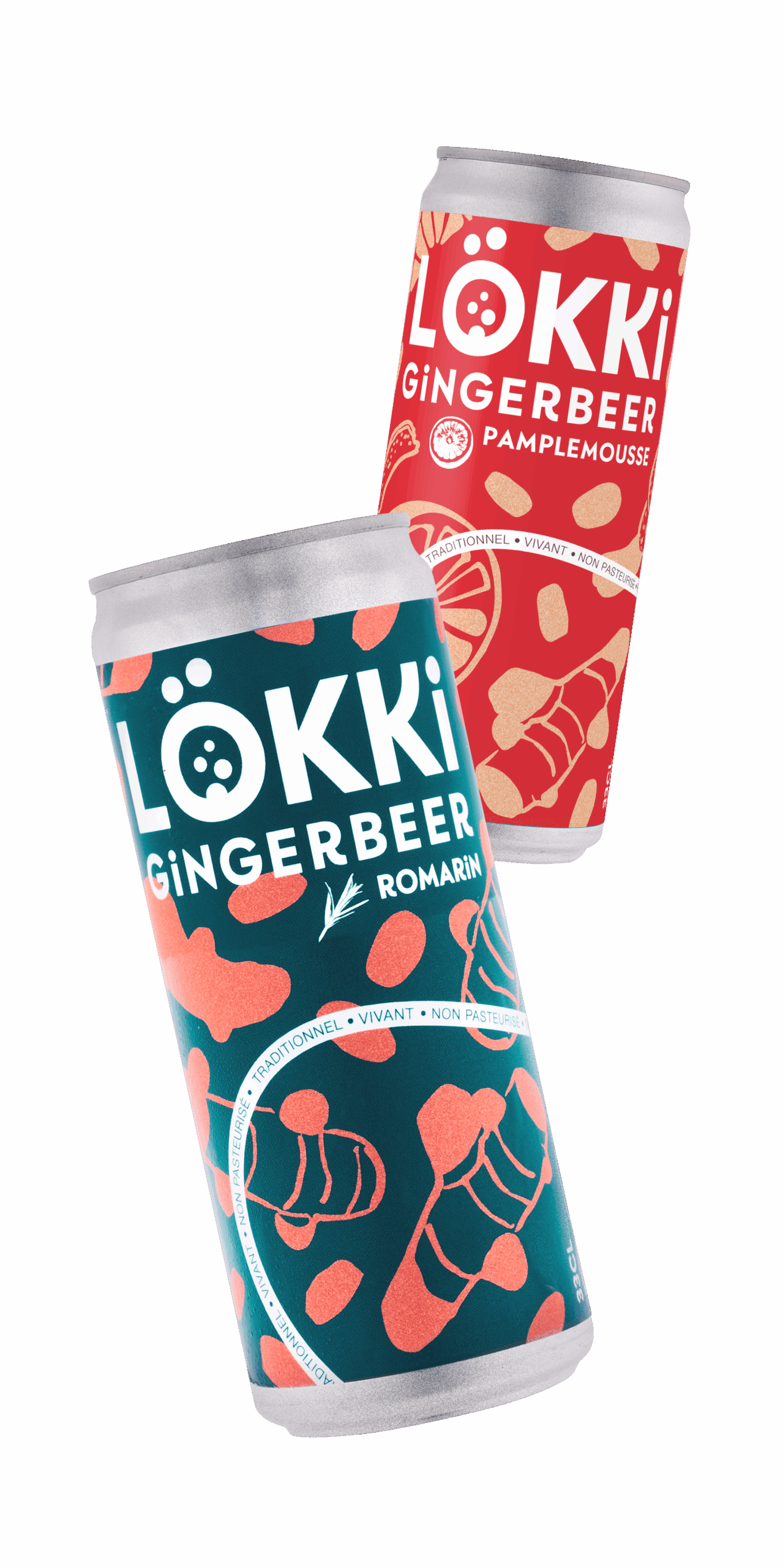 Canettes Ginger Beer